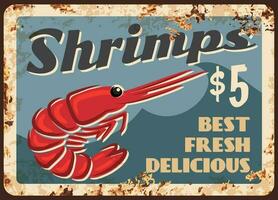 Shrimps meat, fresh seafood vector retro banner