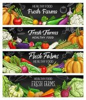 Vegetables farm food chalk sketch vector banners