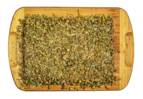 Background of dried chamomile flowers. The Latin name is Matricaria Chamomilla. Medicinal herb. png