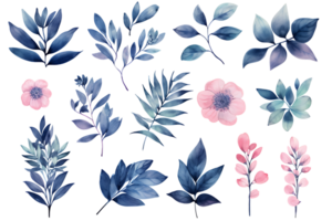 Beautiful set Watercolor flower and leaves element collection. png