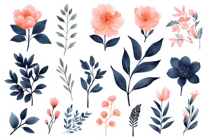 Beautiful set Watercolor flower and leaves element collection. png