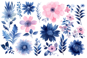 Beautiful set Watercolor flower and leaves element collection. png