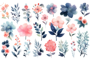 Beautiful set Watercolor flower and leaves element collection. png