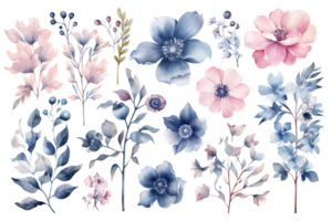 Beautiful set Watercolor flower and leaves element collection. png