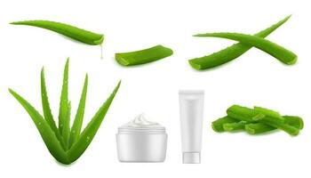 Aloe vera plant and extract, skin care cream set vector