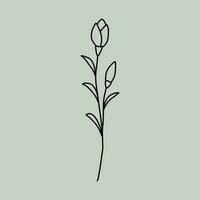 Line Art Floral vector