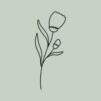 Line Art Floral vector