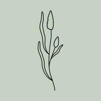 Line Art Floral vector