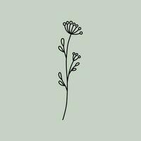 Line Art Floral vector