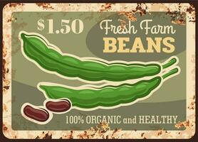 Beans metal plate, vegetables farm market price vector