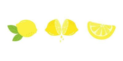 Fresh Lemon Illustration Isolated In White Background. Lemon Slice Cartoon Illustration. vector