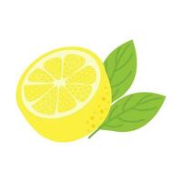 Fresh Lemon Illustration Isolated In White Background. Lemon Slice Cartoon Illustration. vector