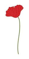 Poppy Flower Element Illustration. Vector red poppies isolated on a white background.