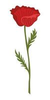 Poppy Flower Element Illustration. Vector red poppies isolated on a white background.