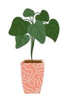 House Plant Illustration. Home Plant Decoration Element. Illustration Of Indoor Plant In The Pot. vector