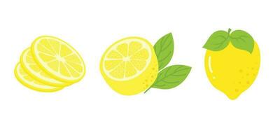 Fresh Lemon Illustration Isolated In White Background. Lemon Slice Cartoon Illustration. vector