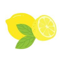 Fresh Lemon Illustration Isolated In White Background. Lemon Slice Cartoon Illustration. vector