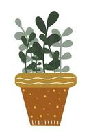 House Plant Illustration. Home Plant Decoration Element. Illustration Of Indoor Plant In The Pot. vector