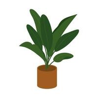 House Plant Illustration. Home Plant Decoration Element. Illustration Of Indoor Plant In The Pot. vector