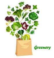 Greenery salads and greens in vector shopping bag