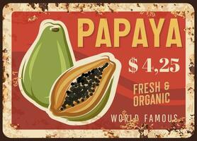 Papaya fruits rusty metal plate price, food farm vector