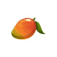 Mango fruit, vector fresh tropical juicy plant