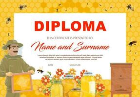 School diploma, certificate template with honey vector