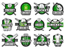 Cricket sport ball, bat and team player icons vector