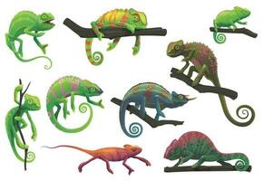 Chameleon lizards, cartoon reptile animals vector