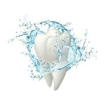 enjuague bucal dental higiene, diente en agua chapoteo vector