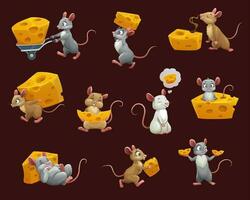 Mouse and rat with cheese cartoon characters vector