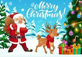 Santa, Christmas gifts, Xmas tree and reindeer vector