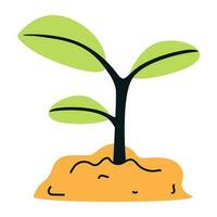 Attractive flat icon of plant sapling vector