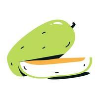 Muskmelon flat icon is ready for digital premium use vector