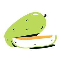 Muskmelon flat icon is ready for digital premium use vector