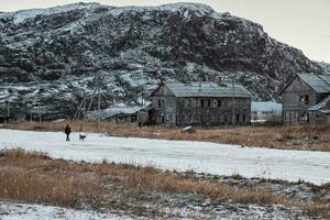 Authentic Russian northern village, old dilapidated wooden houses, harsh Arctic nature. A man walks with a dog. Teriberka. Russia. photo