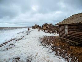 dramático marina con un furioso blanco mar y un pescar choza en el costa. kandalaksha bahía. umba. Rusia foto