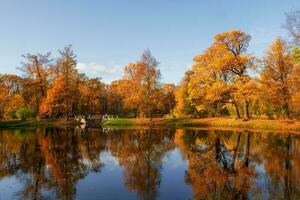 soleado otoño público parque con dorado arboles terminado un estanque y personas caminando alrededor. zarskoe solo Rusia foto