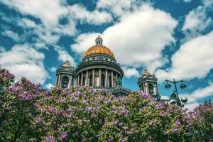The summer scenic with Saint Isaac's Cathedral in lilac flowers, iconic landmark in St. Petersburg, Russia photo