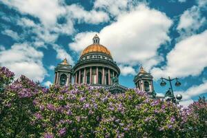 el verano escénico con Santo de isaac catedral en lila flores, icónico punto de referencia en S t. petersburgo, Rusia foto