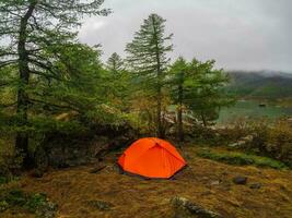 Orange tent under the rain. Camping on a autumn high-altitude plateau. Peace and relaxation in nature. Upper Shavlin Lake in the Altai. photo