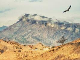 Mountain desert landscape with a village near a huge mountain. photo