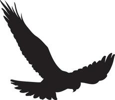 Silhouette Of the Hawk Flying in the Sky Looking Down Fully Editable Vector File