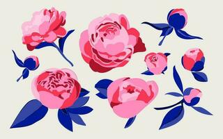 Set of various decorative peonies or roses isolated on a white background. Floral, botanic concept. Vector isolated on white background. Pink, red, blue.