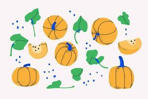 Set of decorative yellow pumpkins, slices and leaves. Vegetables isolated on white background. For design vector