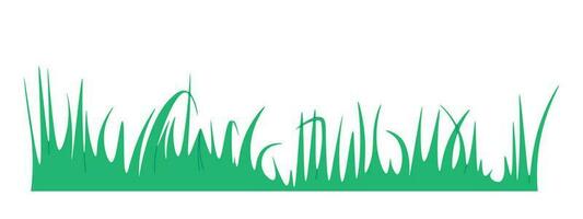 Grass isolated on white background. Plants with long, tall leaves. The garden is not even lawn. Vector for design.