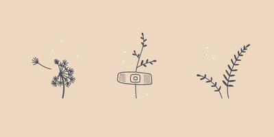 Set of cute botanical minimalist tattoos. Dandelion, a simple twig glued with a plaster. Vector line art illustration.