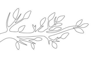 Tree branch with leaves. One line continuous branch and leaves. Line art isolated branch. Outline vector illustration.