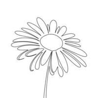 Hand drawn flower isolated on white background. One line continuous blossom flower. Line art fresh natural flower, outline vector illustration.