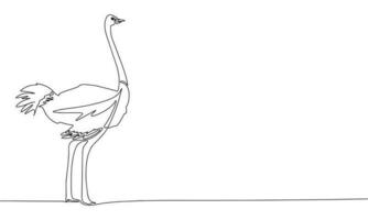 Hand drawn ostrich isolated on white background. Line art bird. One line continuous ostrich. Outline vector illustration.